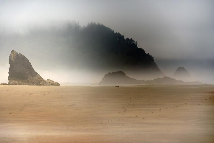 Hug Point Fog - Oregon Photograph by Nikolyn McDonald