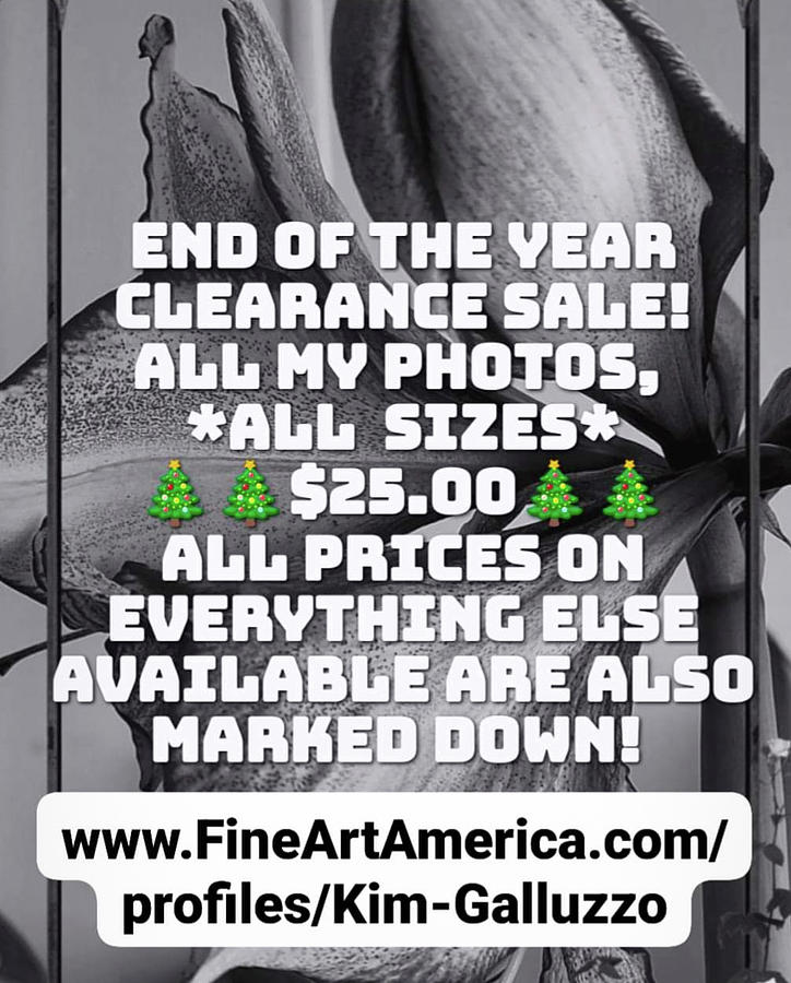 Huge Holiday Discount Photograph by Kim Galluzzo