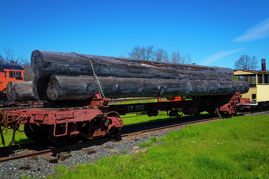 Huge Longs On Flatbed Train Car Photograph by Garry Gay - Fine Art America