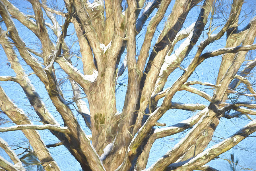 Huge Tree Abstract Sunny Day Photograph by Roberta Byram
