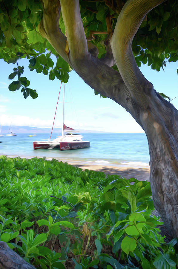 beached sailboat kaanapali