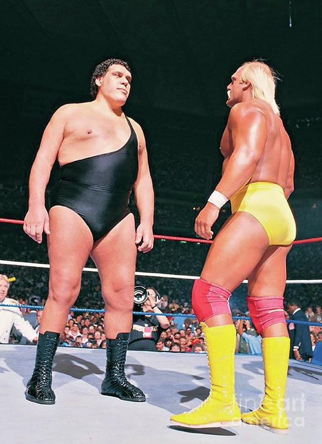 hogan vs andre