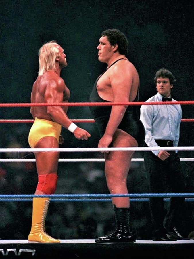 ineffektiv Hej hej kommentar Hulk Hogan vs Andre The Giant WrestleMania 3 Digital Art by Digital Images