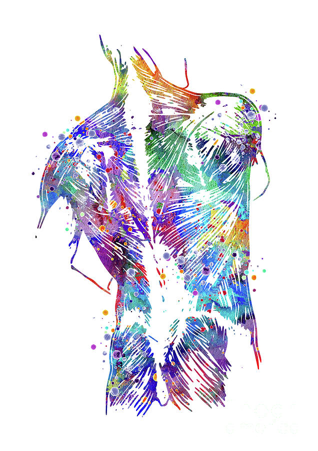 Human Back With Muscles And Bones Colorful Watercolor Digital Art by White Lotus