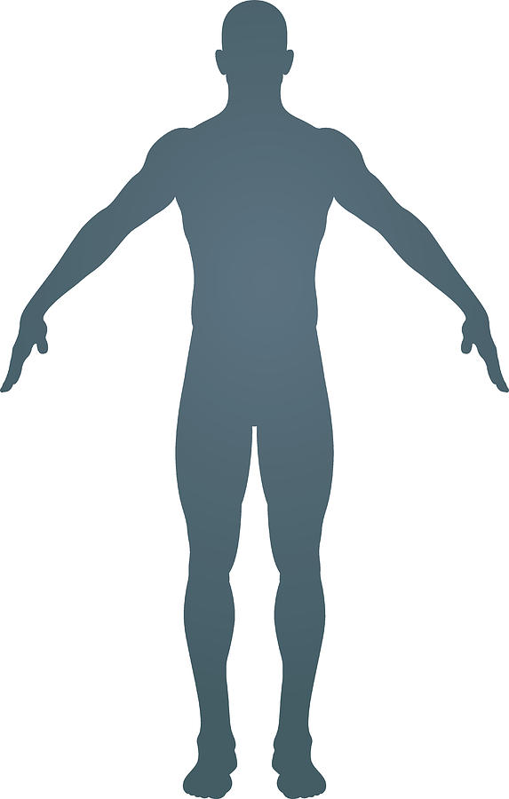 Human body silhouette Drawing by Stefan_Alfonso