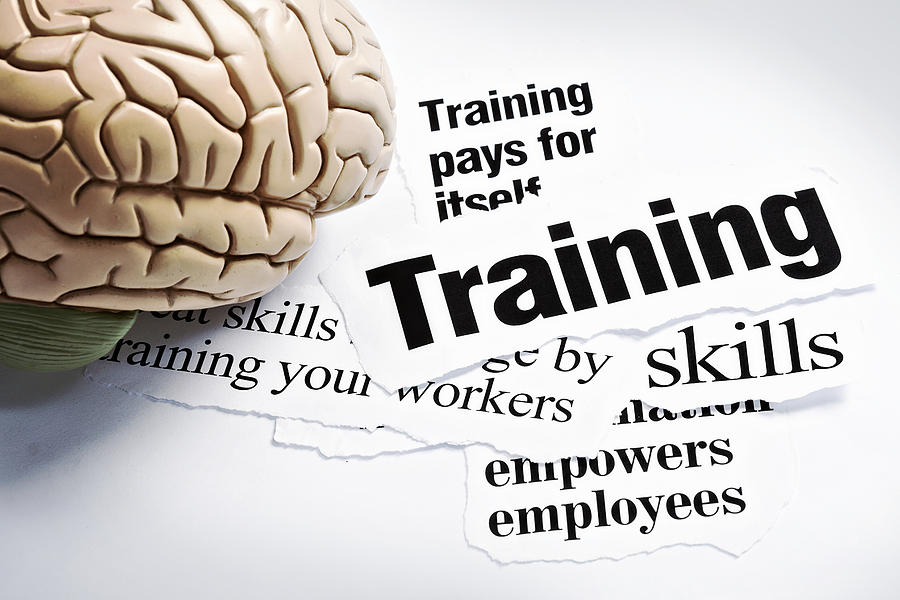 Human brain model on headlines concerning the value of training Photograph by RapidEye