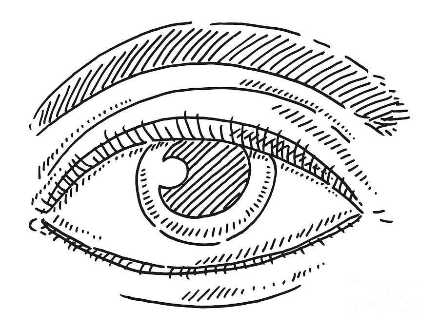 Human Eye Symbol Drawing Drawing by Frank Ramspott | Fine Art America