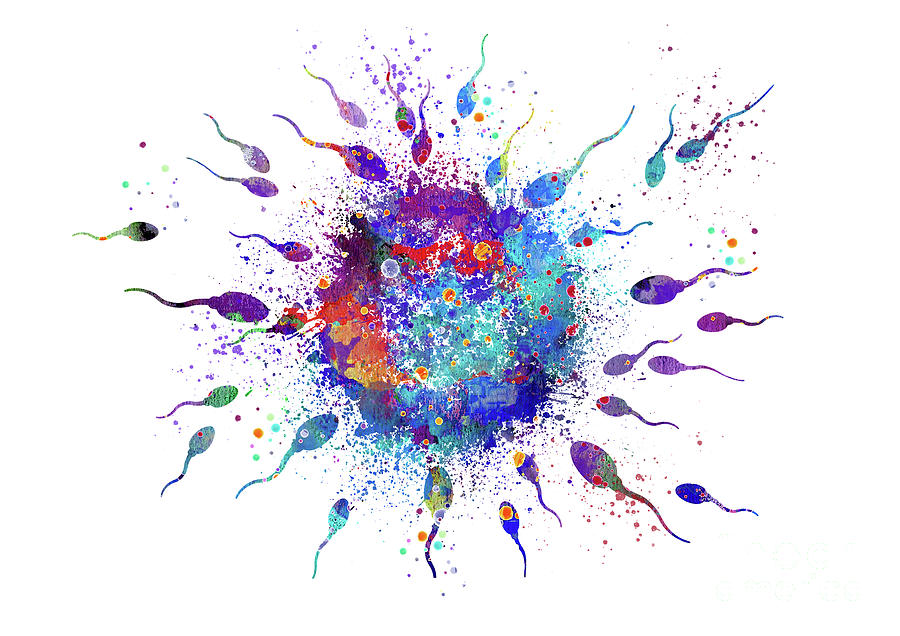 Human Fertilization Egg and Sperm Colorful Watercolor Digital Art by White Lotus