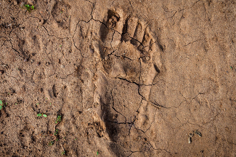 Human footprint in the East-African desert (Malawi) Photograph by Guido Dingemans, De Eindredactie