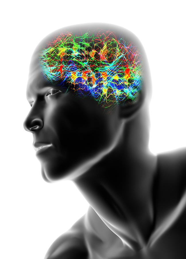 Human head with brainwaves Drawing by Science Photo Library - PASIEKA