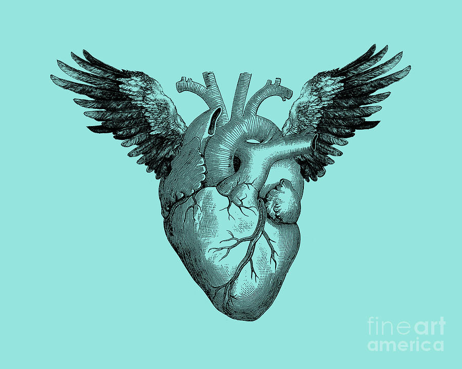 Feather Digital Art - Human heart with wings by Madame Memento