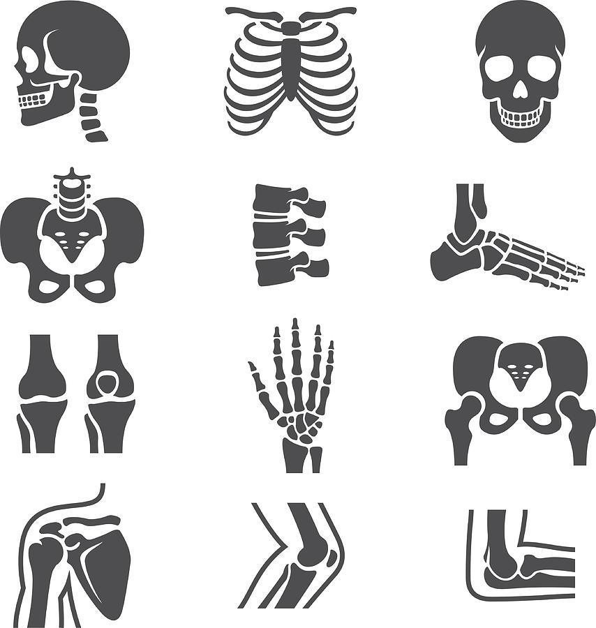 Human Joints Icons Set Drawing by Jack0m