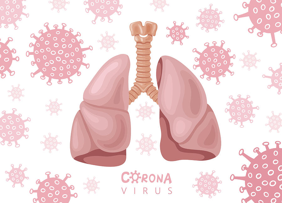 Human Lungs and Coronavirus Covid-19 Drawing by AlonzoDesign
