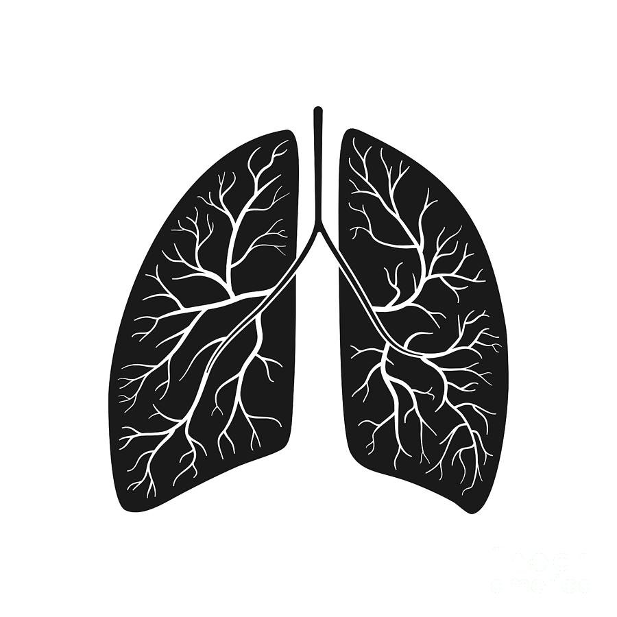 Human Lungs Digital Art