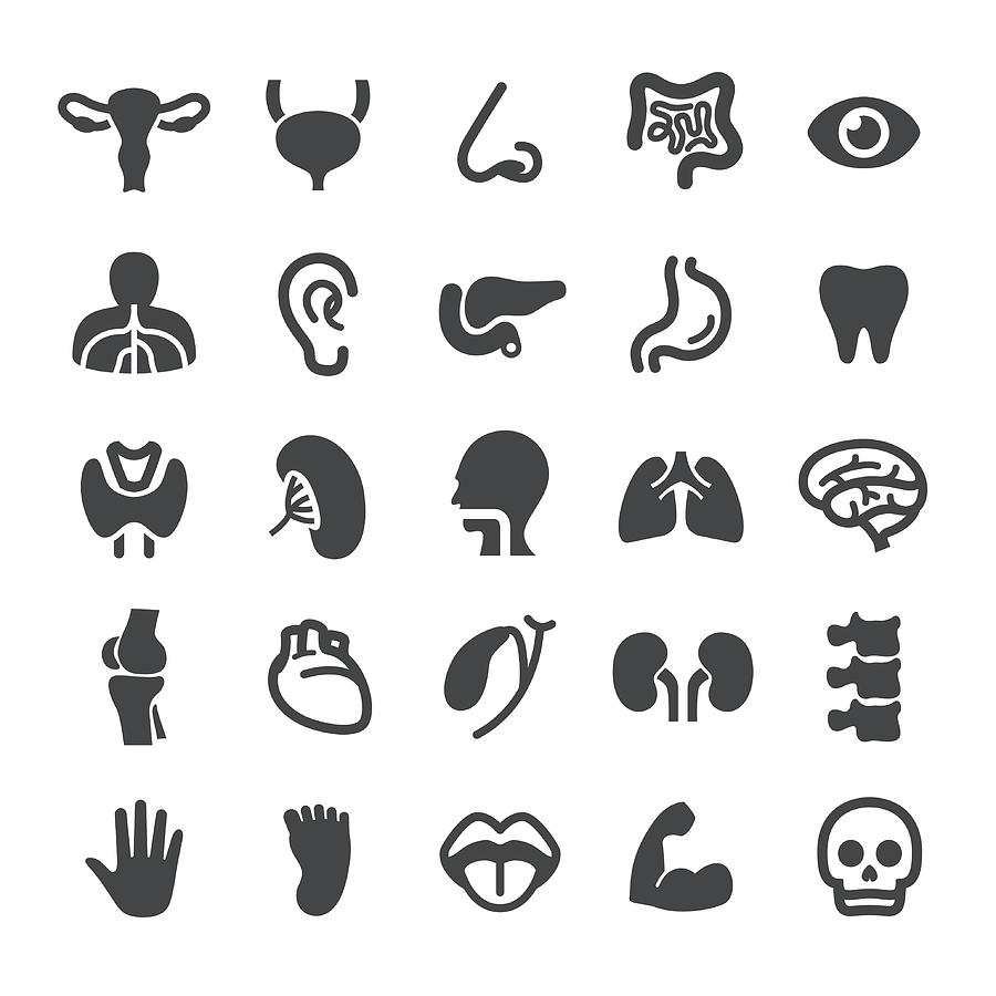 Human Organ Icons - Smart Series Drawing by -victor-