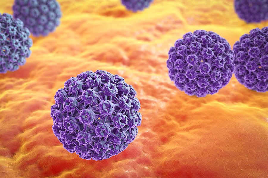 Human papillomaviruses on surface of skin Photograph by Dr_Microbe