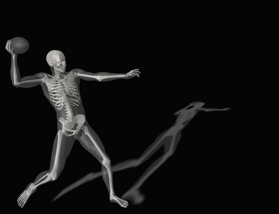 Human skeleton throwing ball Drawing by Scott Camazine