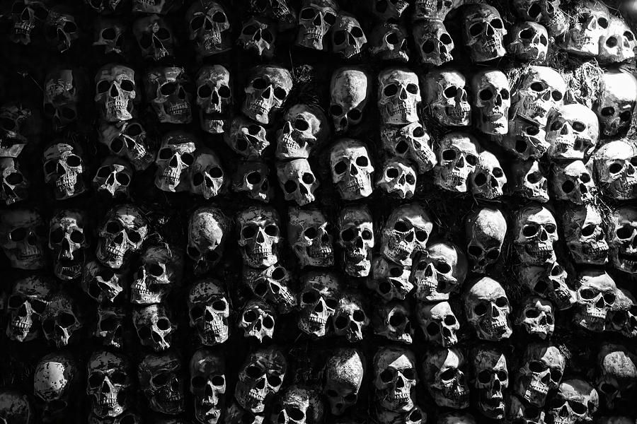 Human skull background Photograph by Karen Foley