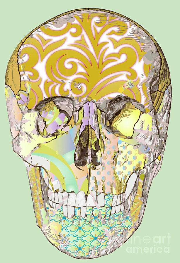 Human Skull Digital Art by Eleni Synodinou