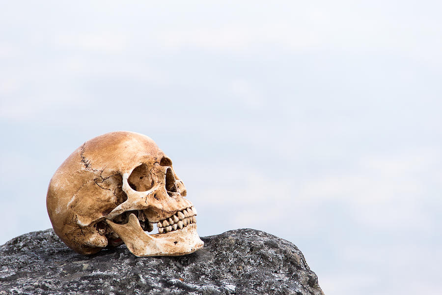 Human Skull On The Rock Photograph by BTRmc