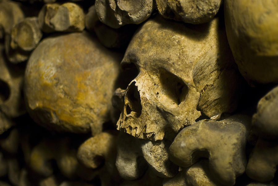 Human Skulls in Le Catacombs Paris Photograph by Weible1980