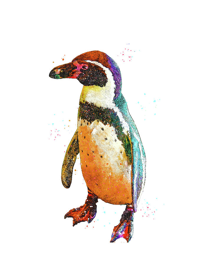 Humboldt Penguin Mixed Media by Pamela Williams