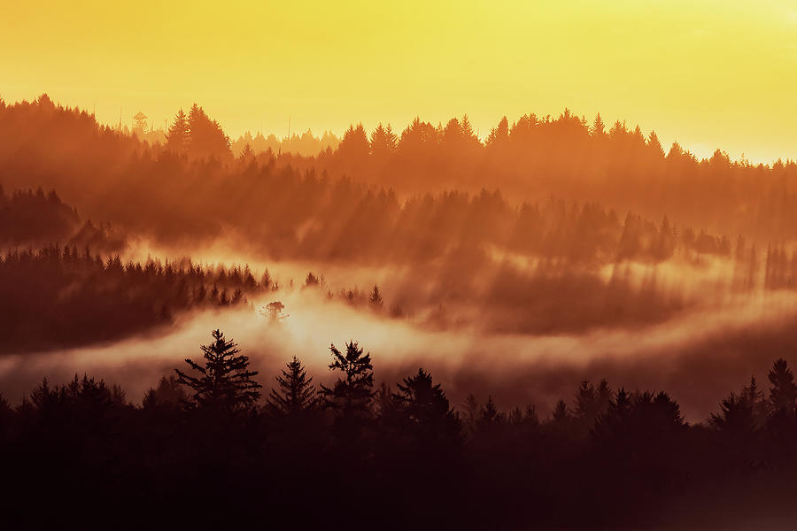 Humboldt Sunrise Photograph