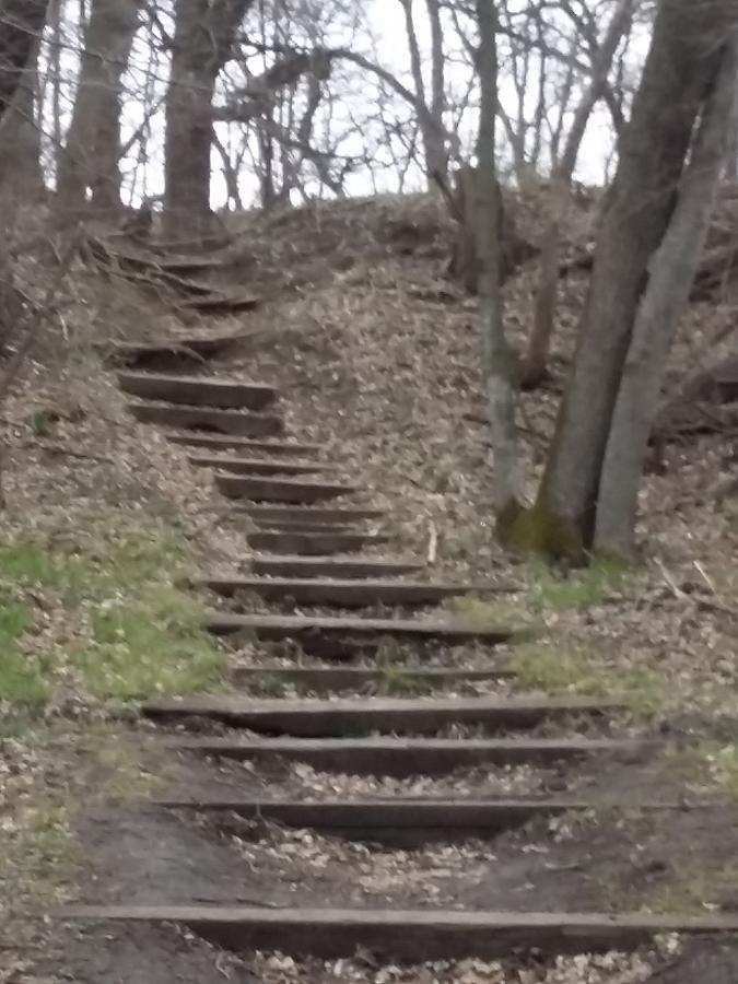 Hummel Park Stairs Photograph by Jade Hassenplug - Fine Art America