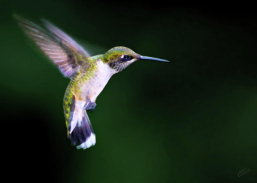 Hummer Ballet 2 Photograph by ABeautifulSky Photography by Bill Caldwell