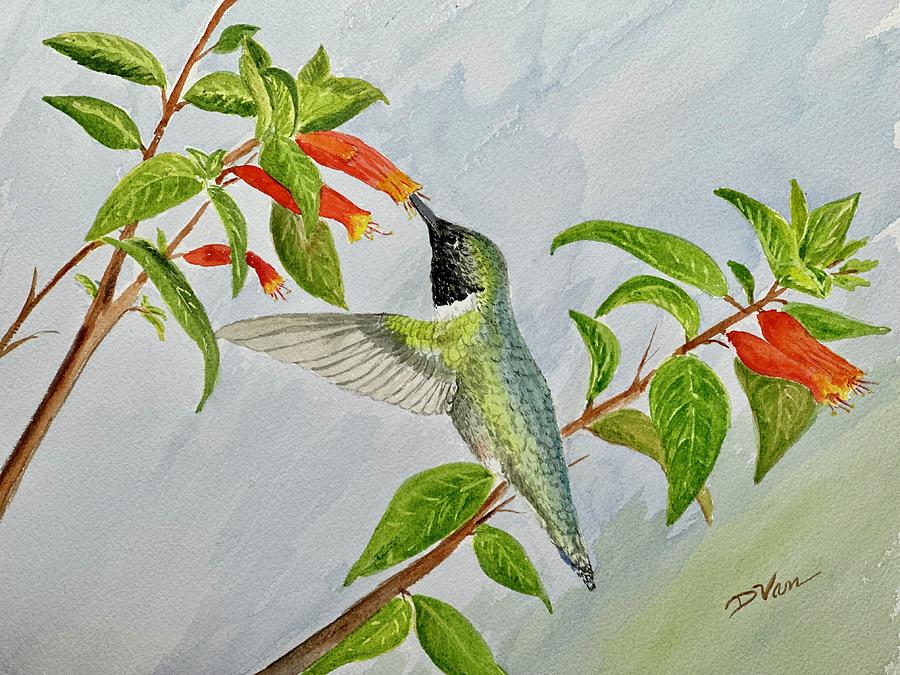 Hummer In the Firecraker Plant Painting by Denise Van Deroef