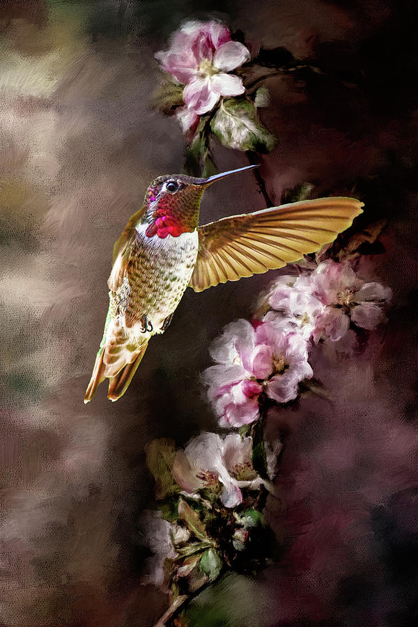 Hummer on Pink Spring Flowers VI Digital Art by Linda Brody