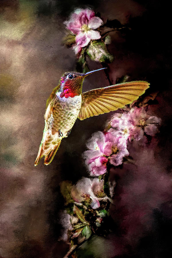 Hummer On Pink Spring Flowers Viii Digital Art