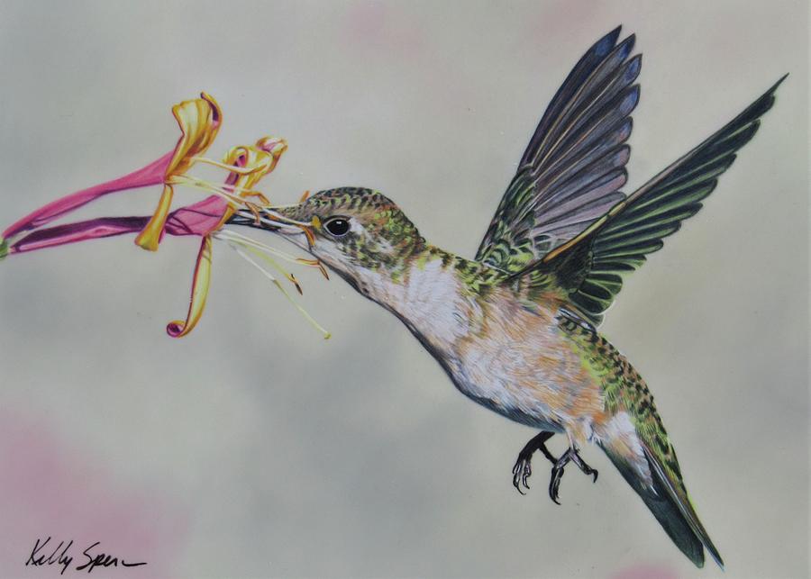 Humming Along Drawing by Kelly Speros