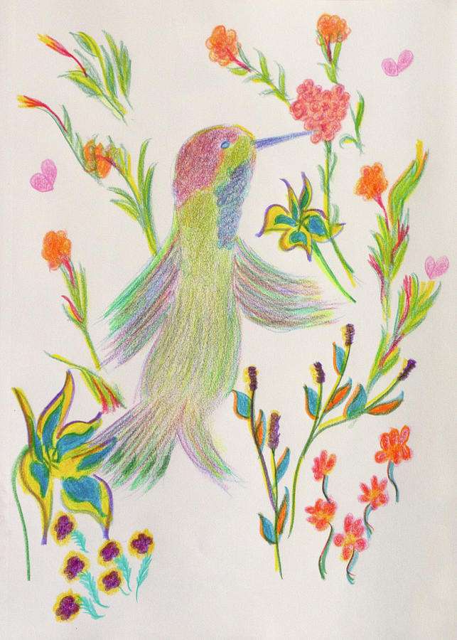 Humming Bird Drawing Drawing by Meryl Goudey