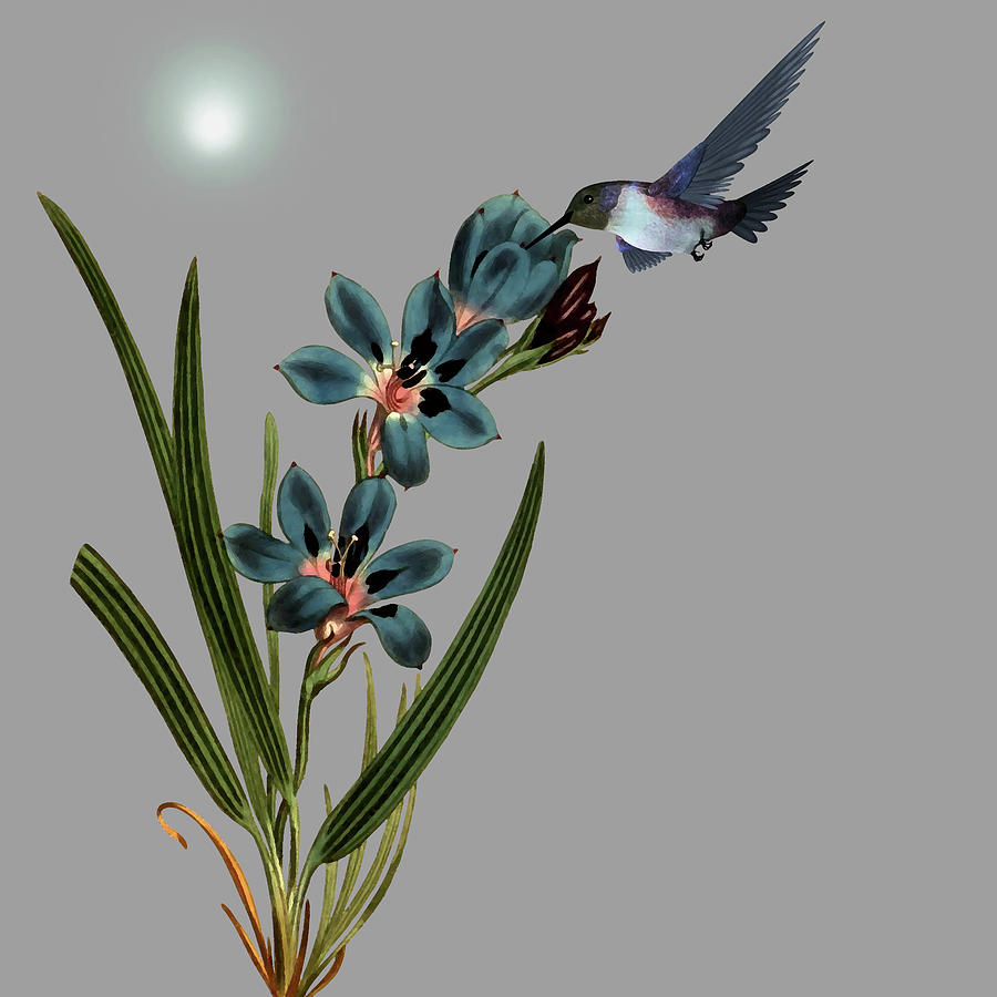 Hummingbird in the Garden Pane 3 Digital Art by David Dehner