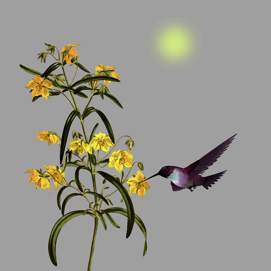 Hummingbird in the Garden Pane 4 Digital Art by David Dehner