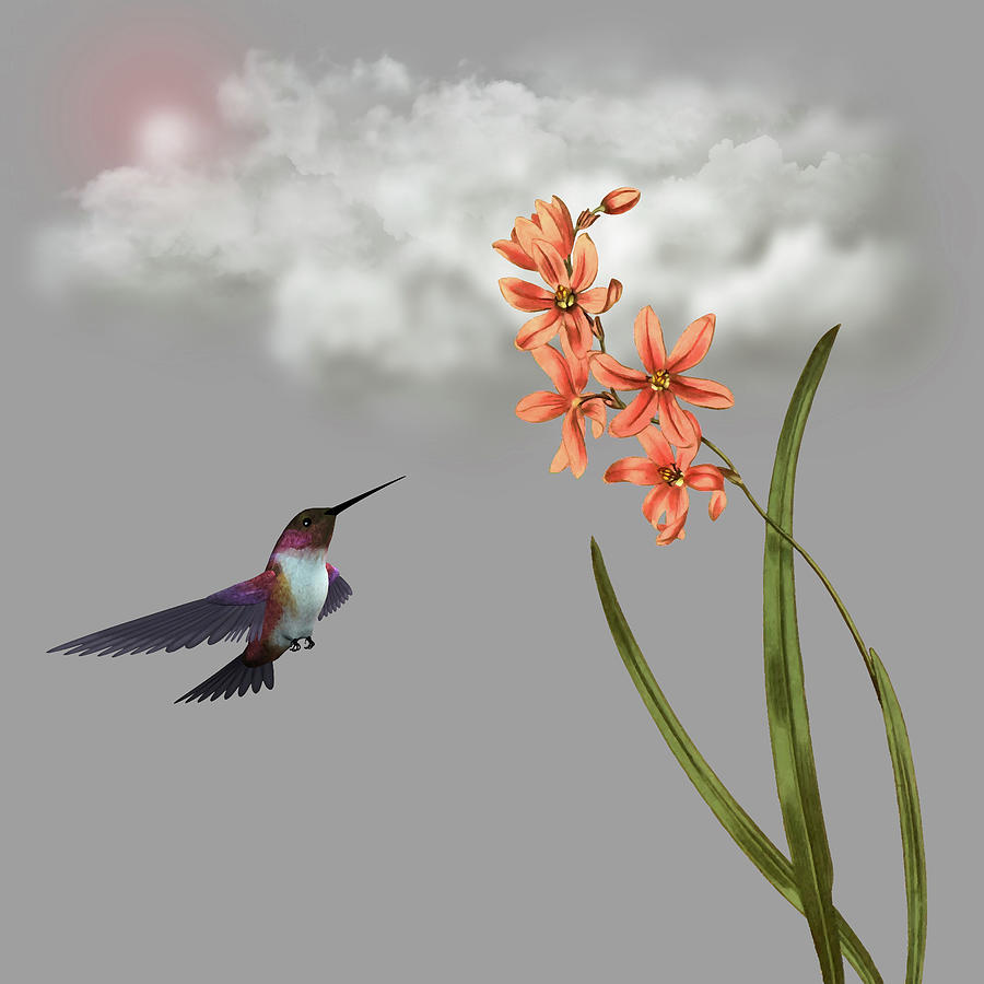 Hummingbird In The Garden Pane 6 Digital Art by David Dehner