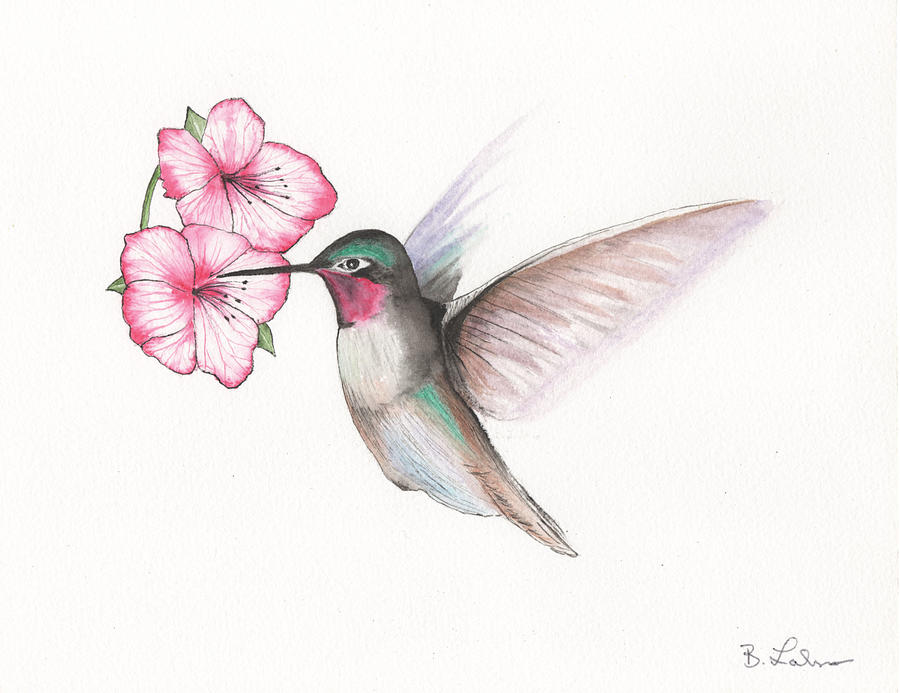 Hummingbird #1 Painting by Bob Labno