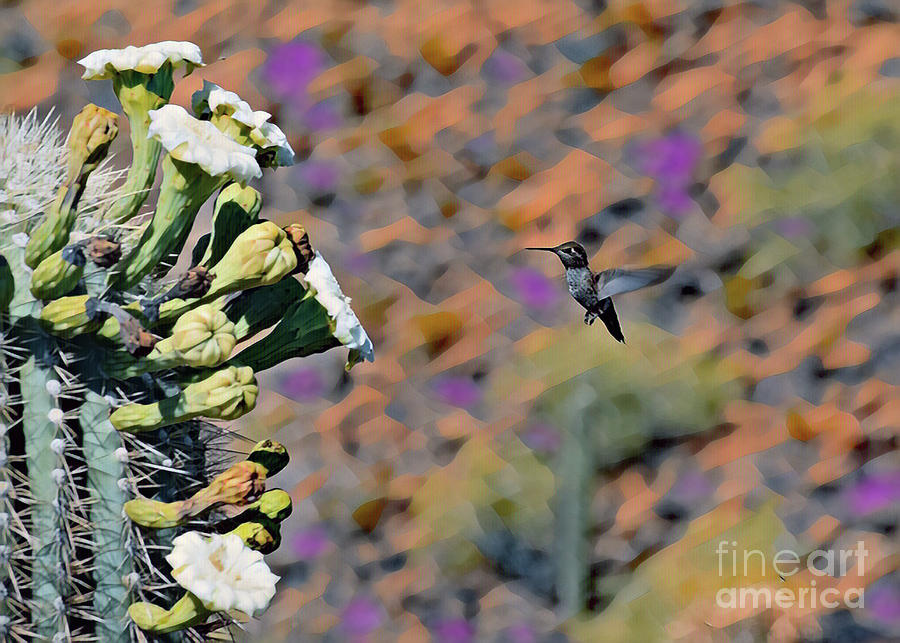 Hummingbird 7774 Digital Art by David Ragland