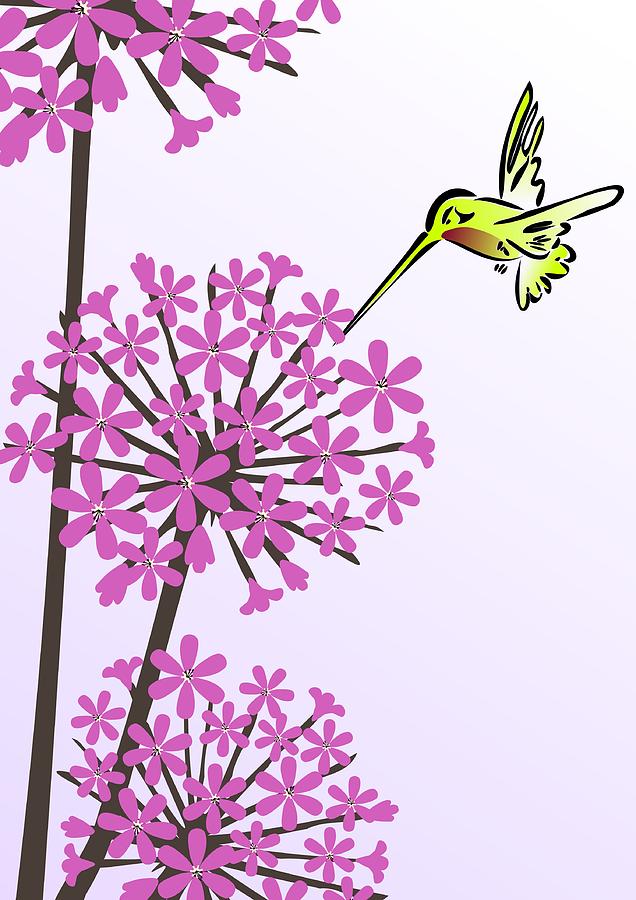 Hummingbird Digital Art - Hummingbird and Allium by Anastasiya Malakhova