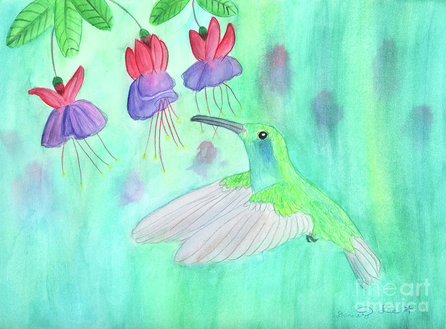 Hummingbird And Fuchsia Flowers Painting by Dorothy Lee