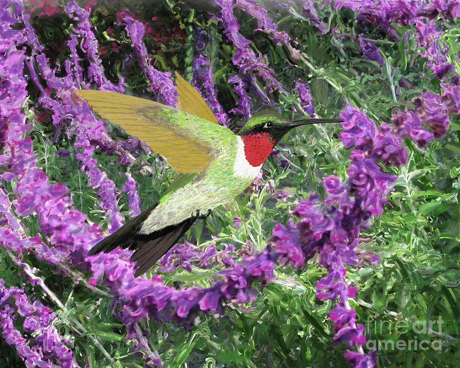 Hummingbird and Mexican Sage Digital Art by L J Oakes