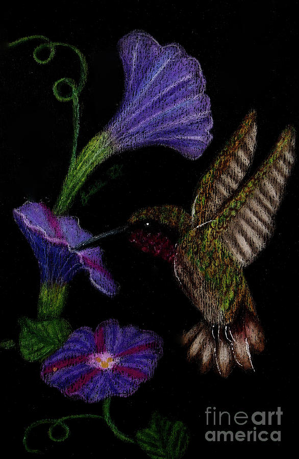 Hummingbird And Morning Glories Painting by Dorothy Lee