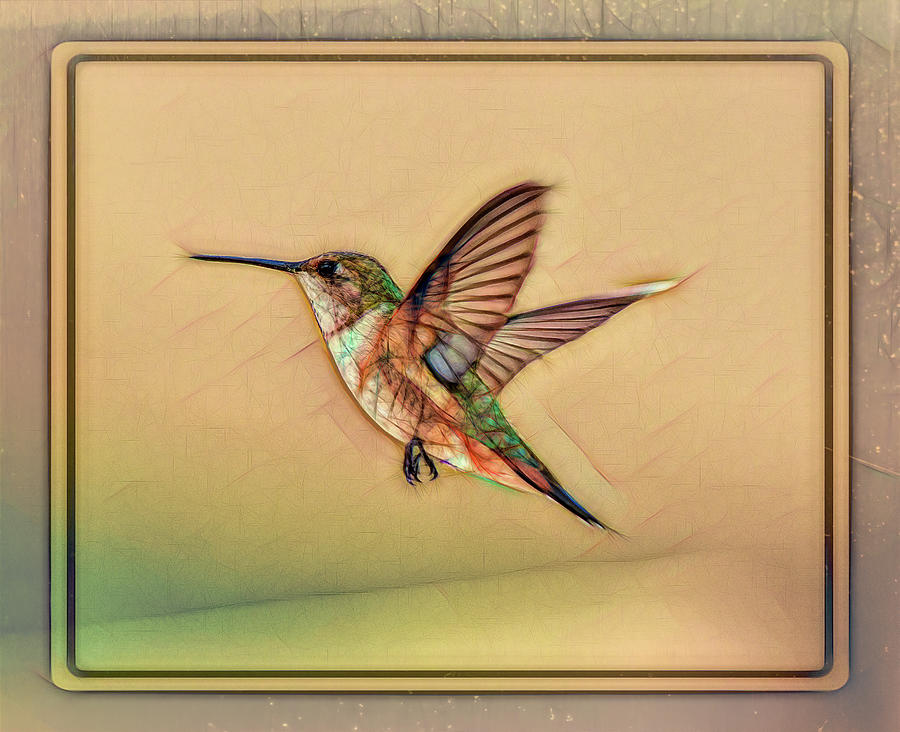 Hummingbird Art 2 Digital Art by Linda Brody