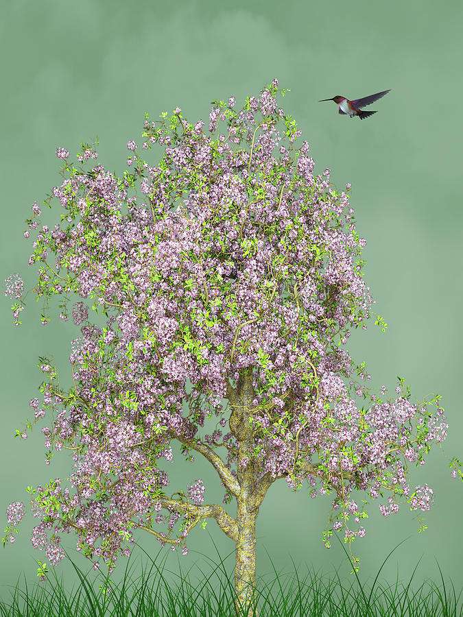 Hummingbird At The Flowering Tree  Mixed Media by David Dehner