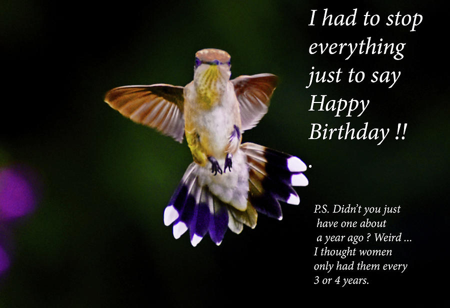 Hummingbird Birthday 002 card Photograph by George Bostian