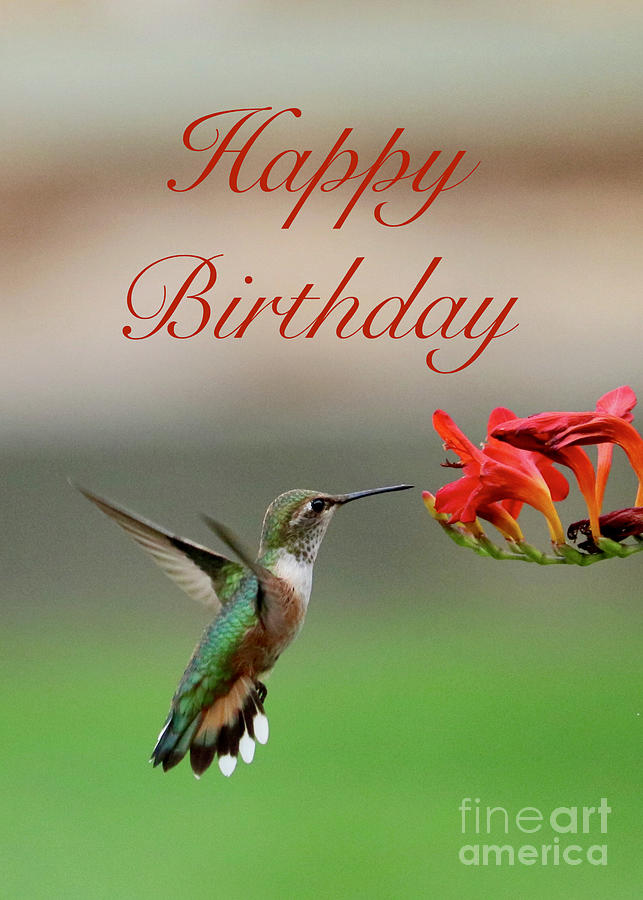 Hummingbird Birthday Card with Crocosmia Photograph by Carol Groenen