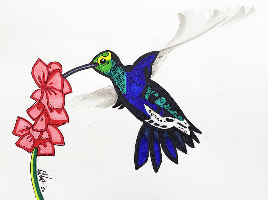 Hummingbird Drawing by Creative Spirit