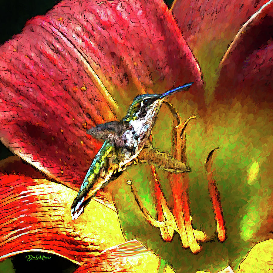 Hummingbird Digital Art by Don Schiffner