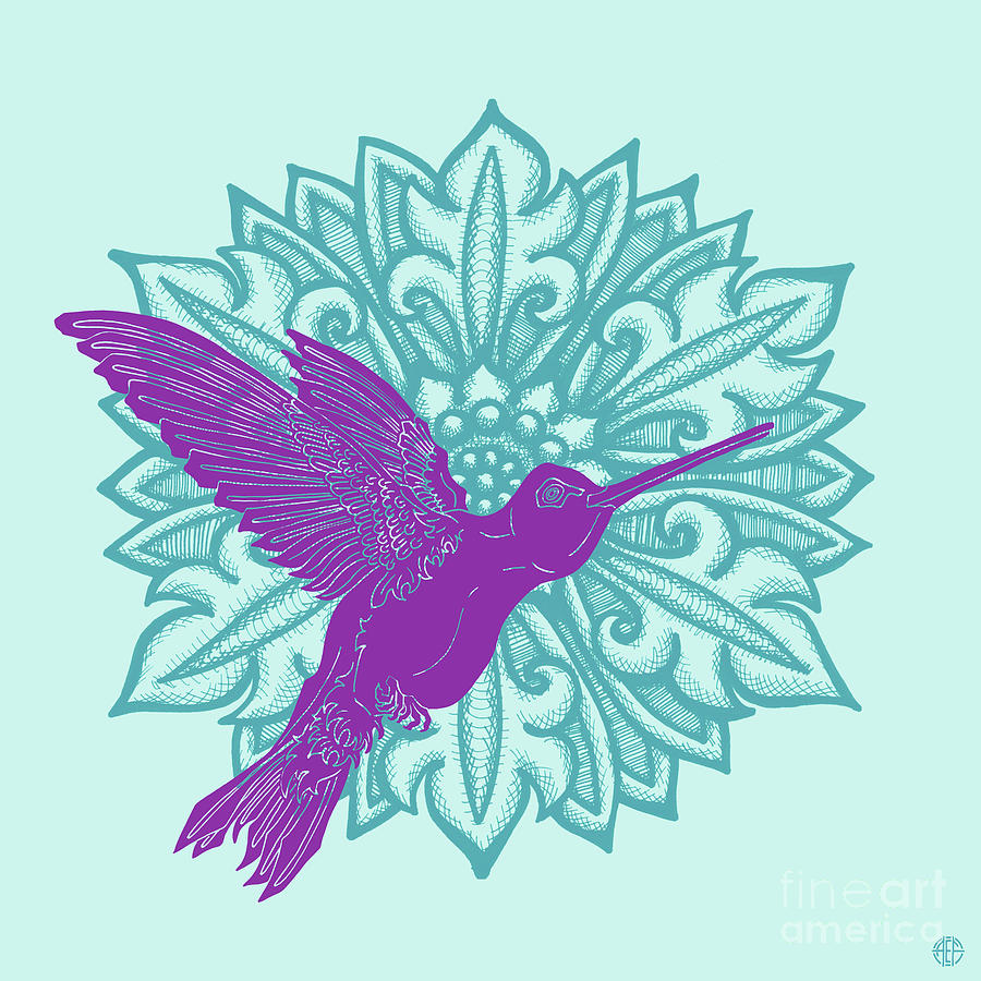 Hummingbird Floral 4 Drawing by Amy E Fraser